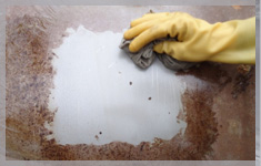 ���P���ϴ�g��